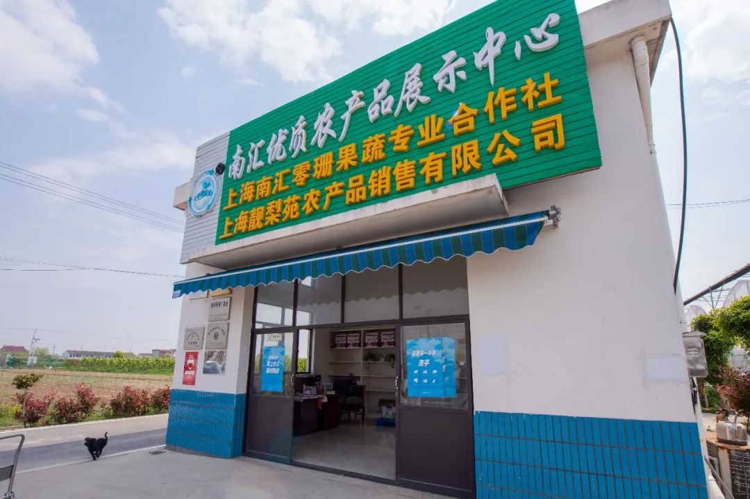 浦东农产品追溯网_食用农产品合格证 浦东新区食用农产品合格证制度 农产品溯源二维码