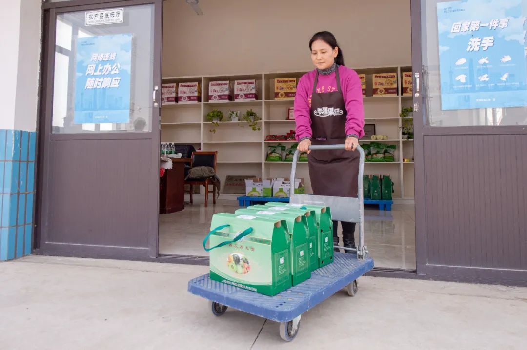 食用农产品合格证 浦东新区食用农产品合格证制度 农产品溯源二维码_浦东农产品追溯网