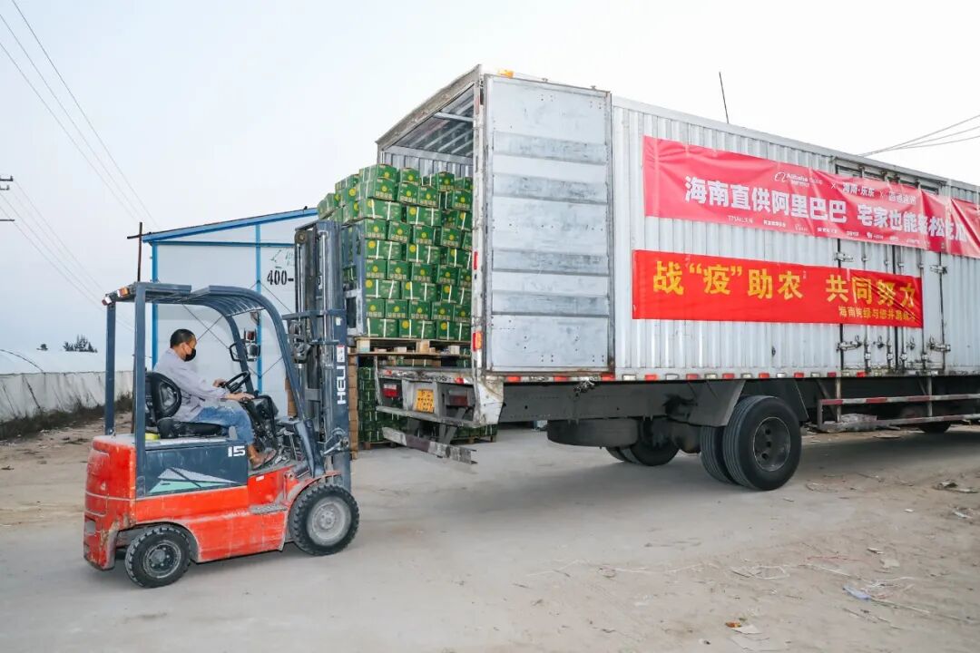 淘宝吃货助农活动_淘宝镇 农产品_海南菠萝滞销问题