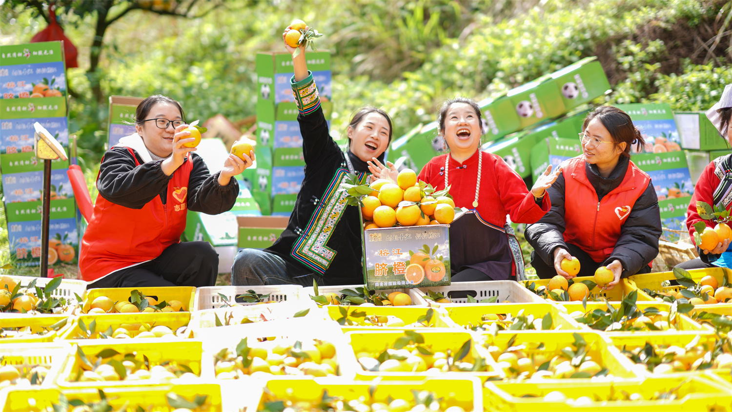贵州农产品电商物流挑战_农产品网络推广方案_贵州农产品电商发展现状