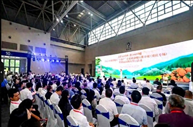 黑土优品闯成渝圈成热门货！脱贫农产品走红靠啥玩法？