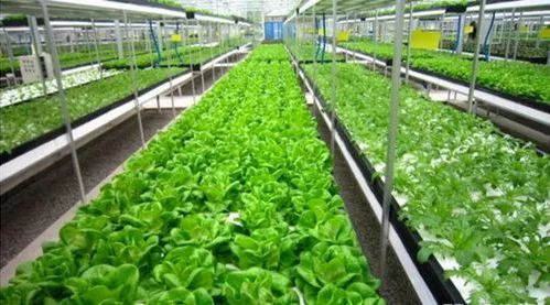 农产品质量安全追溯_绿色食品有机农产品地理标志农产品追溯管理_农产品溯源定义