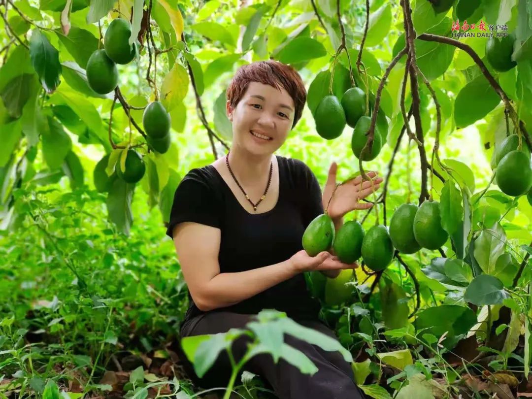 荣邦热带水果电商营销_白沙农产品直销店_白沙良食区域公用品牌
