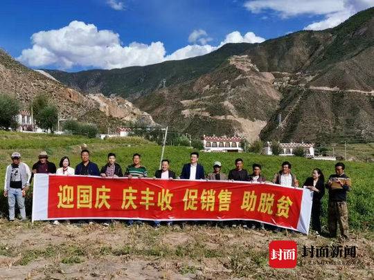 树椒种植模式与销路拓展_四川乡城树椒产业发展_高原特色农产品