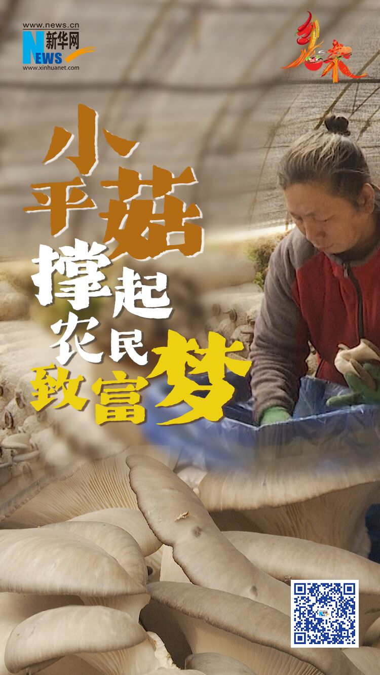 抚顺农产品_三道村特色产业振兴_平菇种植产业