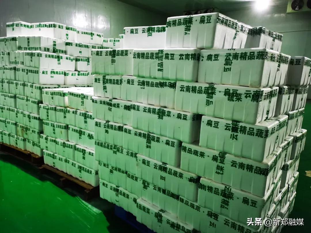 农产品滞销帮扶平台_河南楚林农选农业科技有限公司_社区电商蔬菜供应商