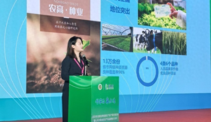 平阴玫瑰产销对接_济南 农产品_济南名特优新农产品