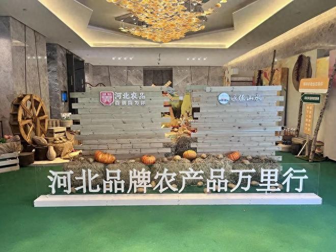河北省农产品电商发展现状：规模增长、政策支撑与问题剖析