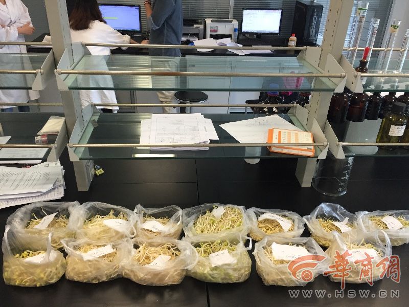 西安豆芽监管_农产品添加剂_豆芽安全检测