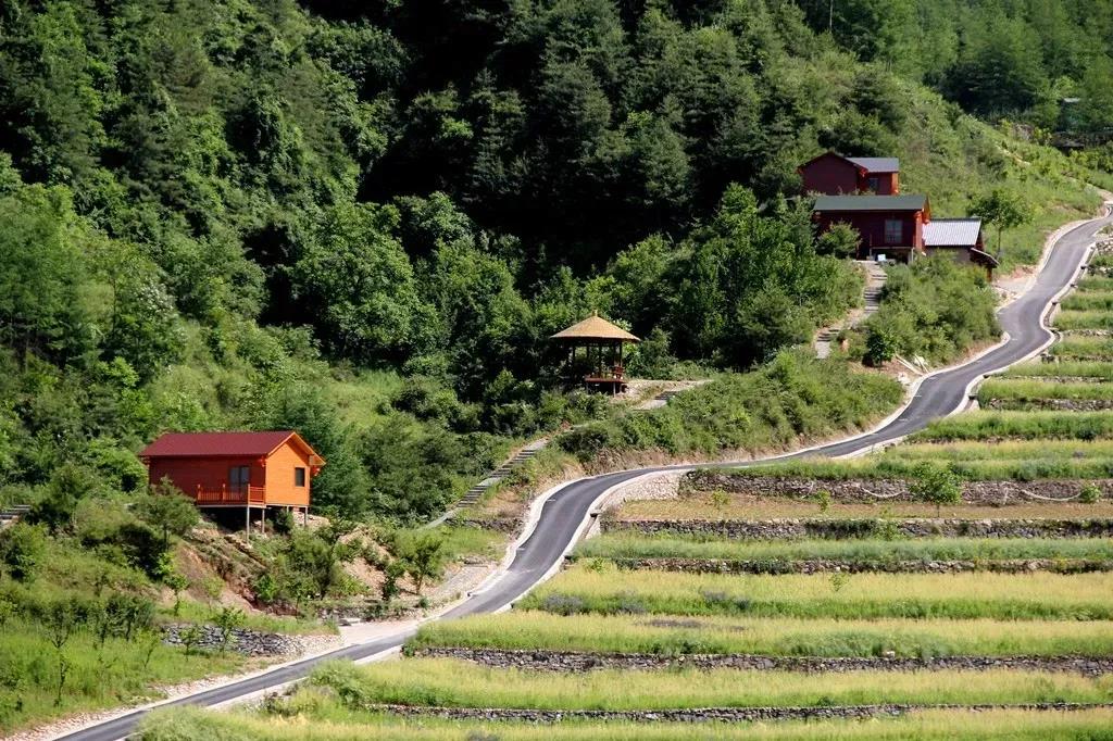 康县农产品流通网_康县乡村振兴 美丽乡村建设 陇南康县全域旅游