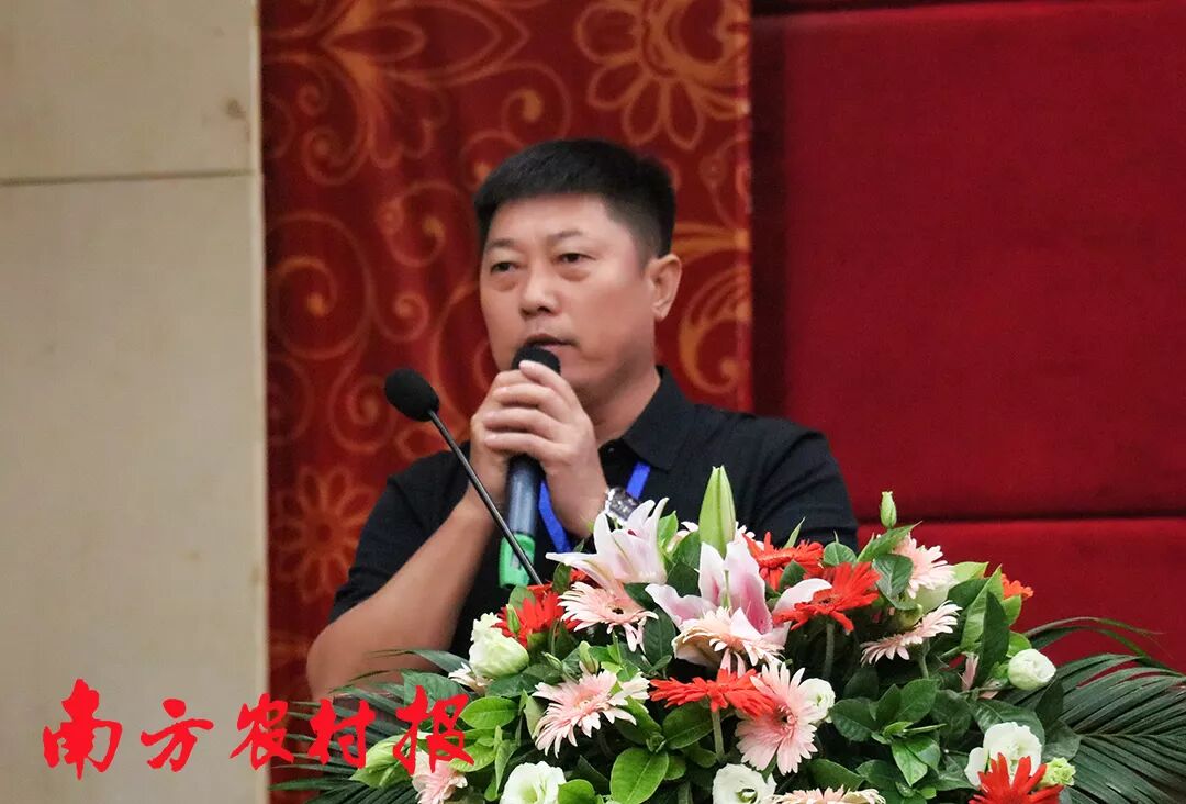 柑橘防腐保鲜技术_柑橘留树保鲜方案_2025年最农产品滞销