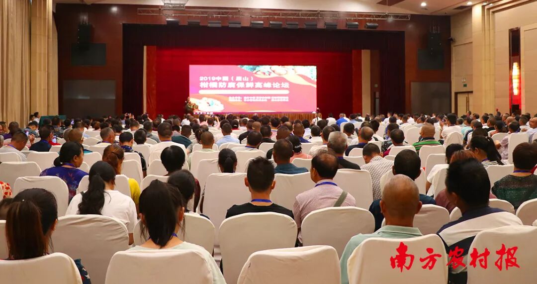 2025年最农产品滞销_柑橘防腐保鲜技术_柑橘留树保鲜方案