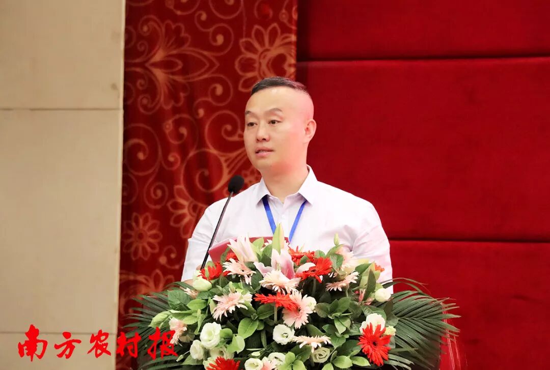 柑橘留树保鲜方案_2025年最农产品滞销_柑橘防腐保鲜技术