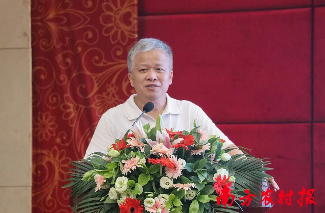 2025年最农产品滞销_柑橘防腐保鲜技术_柑橘留树保鲜方案