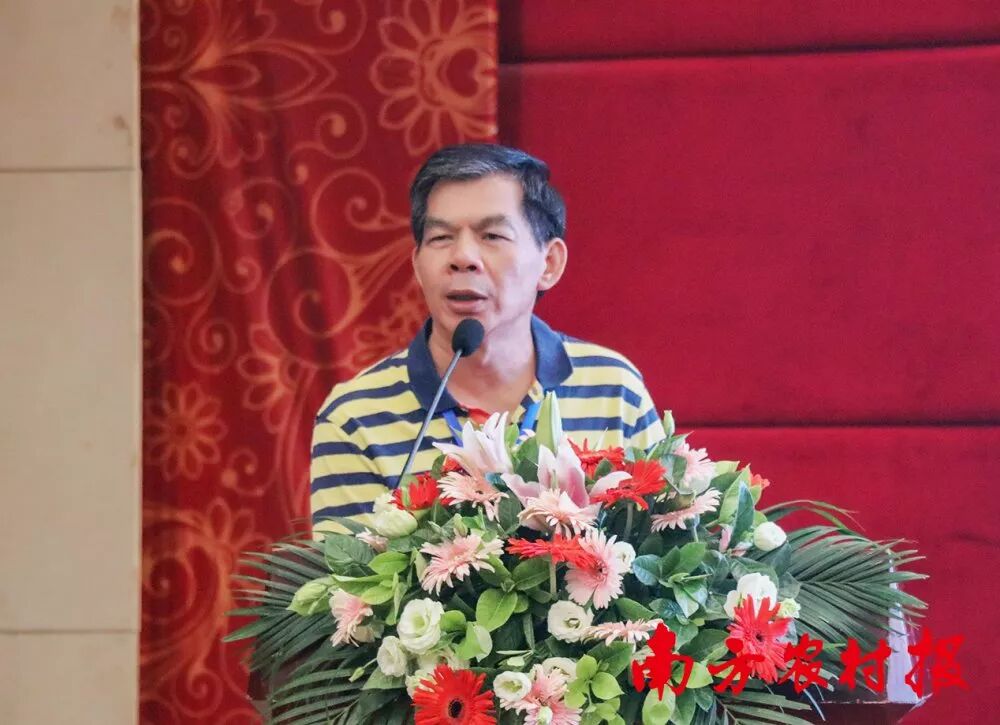 柑橘防腐保鲜技术_柑橘留树保鲜方案_2025年最农产品滞销