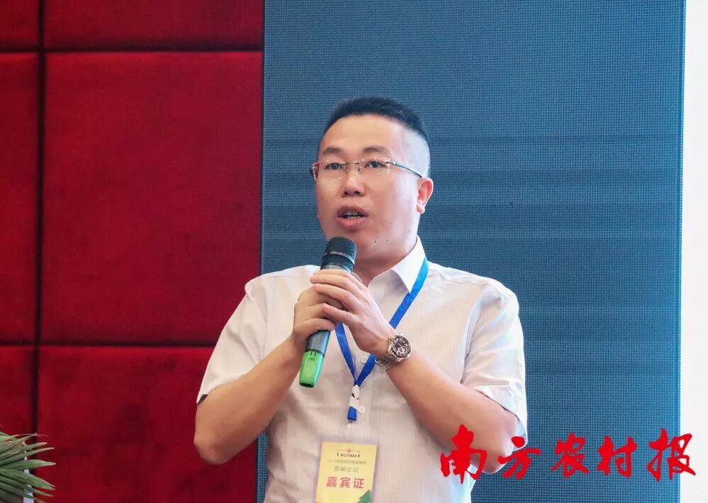 柑橘留树保鲜方案_2025年最农产品滞销_柑橘防腐保鲜技术