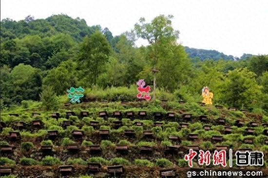 立秋后走进陇南康县铜钱镇 农产品加工忙发往各地