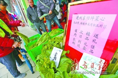 清远电子商务进农村示范县_清远农产品电商销售平台_淘宝卖自产自销农产品