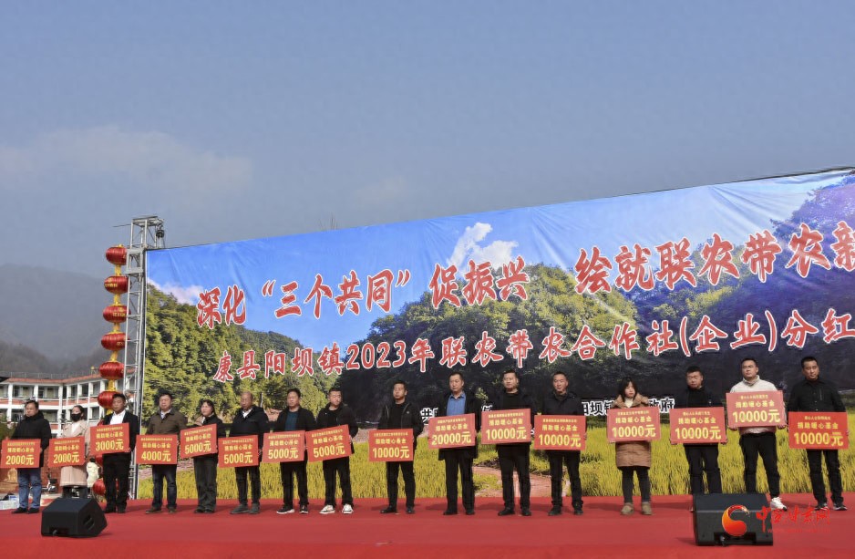 1月12日康县阳坝镇举办分红大会，探索产业多元发展路