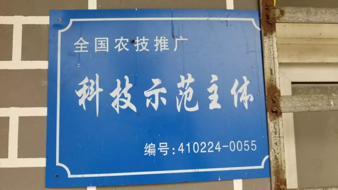张吴寨扶贫特产_贫困地区特色农产品_悬河生态农产品专卖店