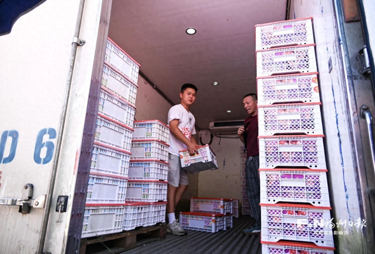海南农产品冷链物流_福州水果批发市场_海峡果品批发市场
