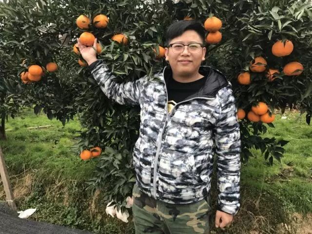 农村电商创业故事_农产品电子商务的优势_农产品电商销售案例