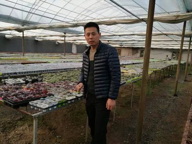 农村电商创业故事_农产品电子商务的优势_农产品电商销售案例