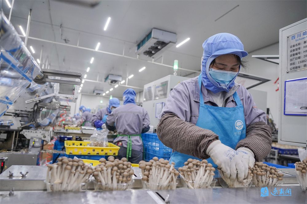 农产品质量安全监管_淘宝初级农产品被下架_食用菌质量安全