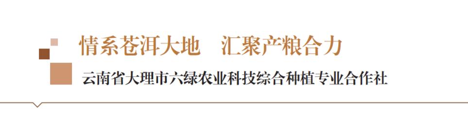 云南省大理市六绿农业科技合作社：牢记嘱托探索生态循环农业模式