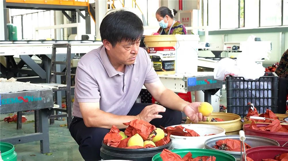 孝昌县电商人才培训_县农产品物流_孝昌县农产品上行
