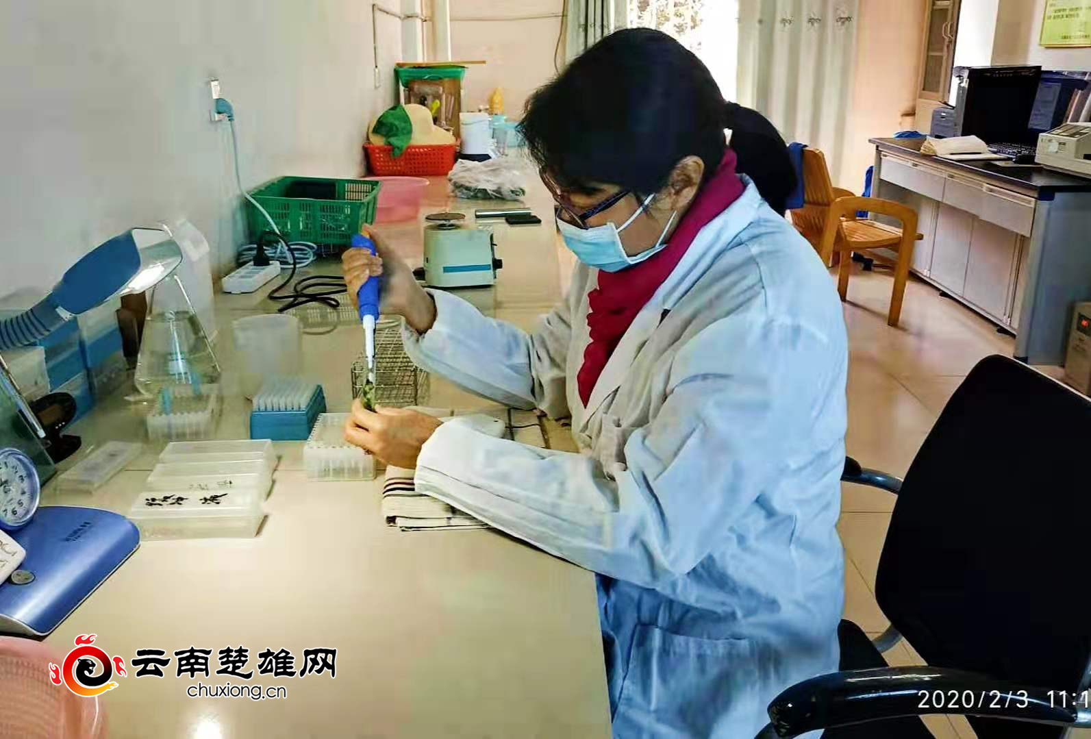 元谋县多措并举守护百姓菜篮子安全，农产品检测合格率达100%