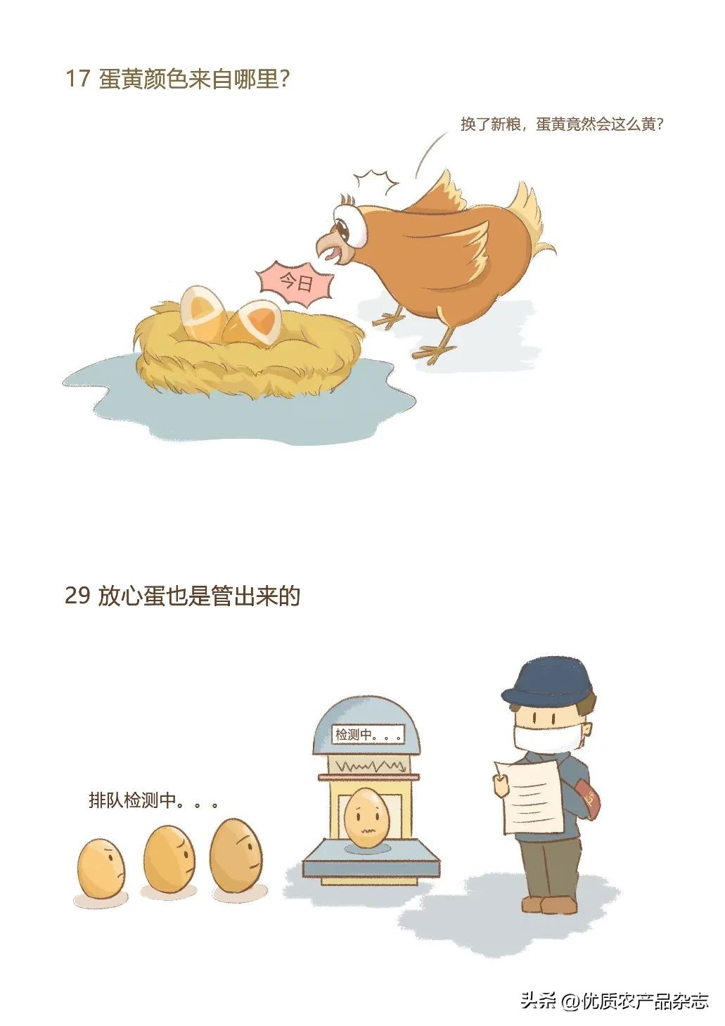 鸡蛋科普书_放心蛋选购指南_农产品检测类杂志