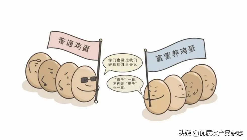 鸡蛋科普书_放心蛋选购指南_农产品检测类杂志