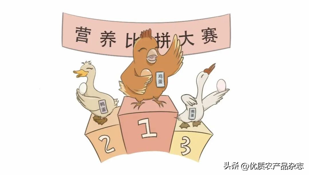 鸡蛋科普书_农产品检测类杂志_放心蛋选购指南