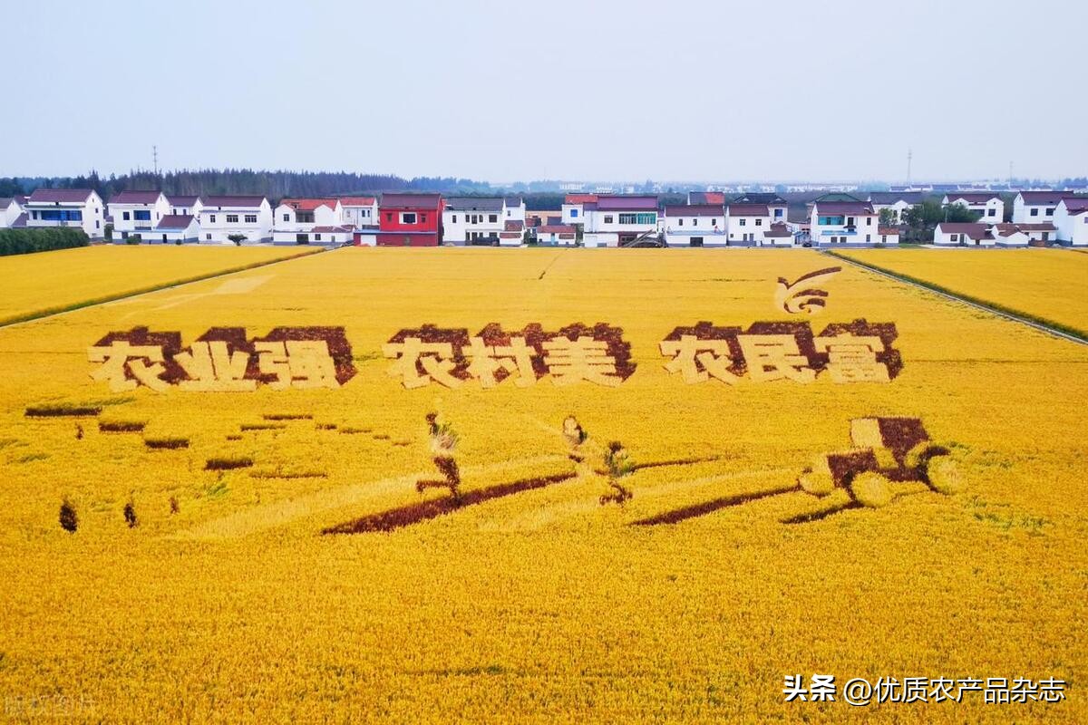 优质农产品发展_农产品检测类杂志_品牌农业基础