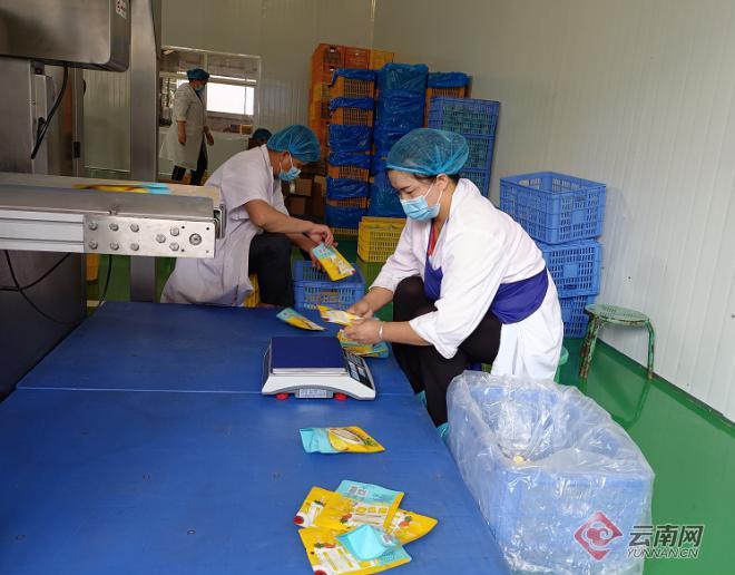 元谋农产品信息网_元谋艾莱克食品公司 冻干果蔬生产 公司转型乡村振兴 云南楚雄农业产业化
