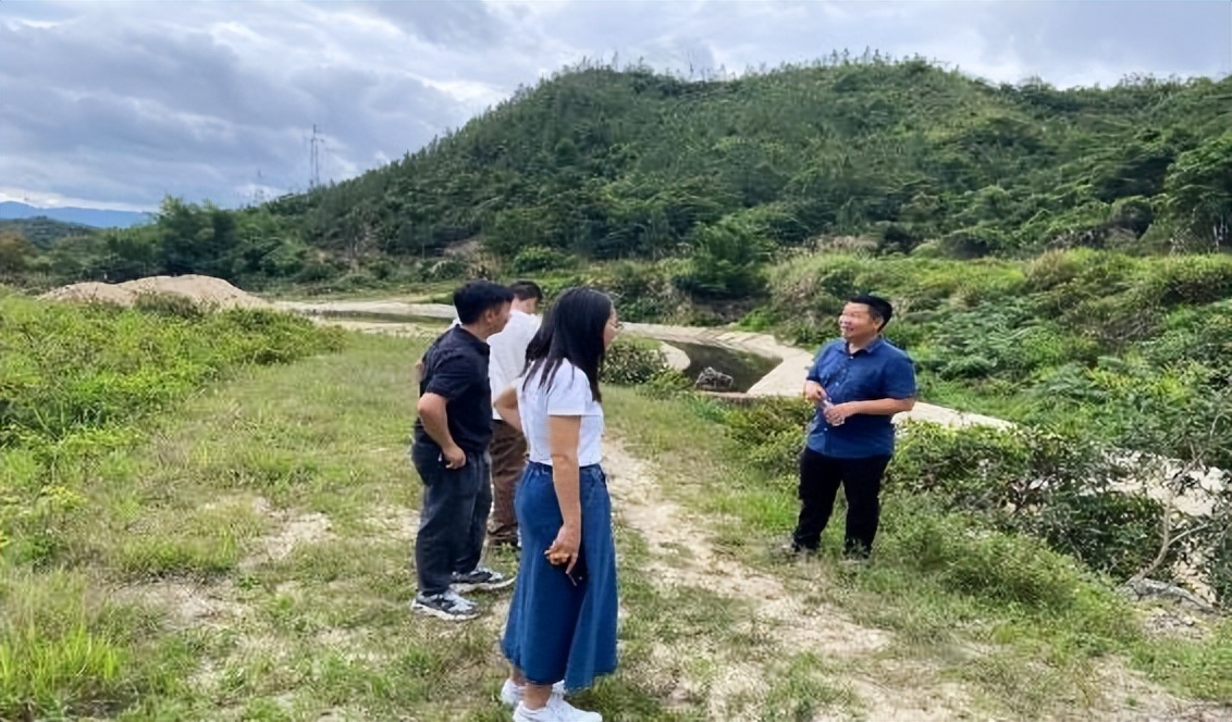 乡村振兴电商助农模式_农产品 网络营销策划书_五云镇特色农产品品牌化发展