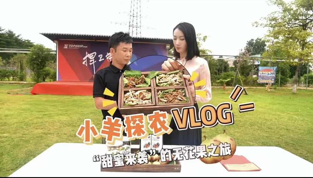 如何写农产品销售方案_东莞市媒体赋能百千万工程农产品市场体系建设行动方案_东莞荔枝出口方案