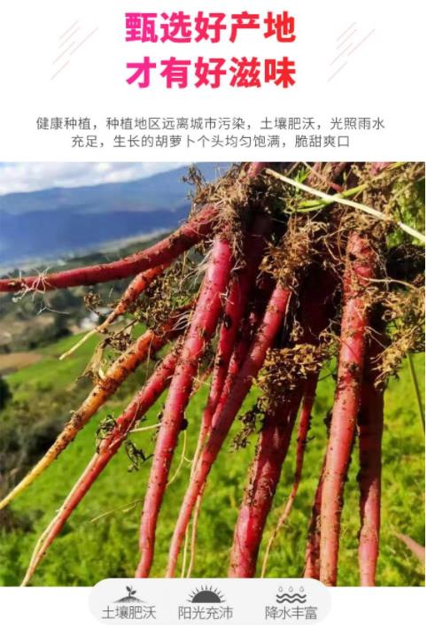 云南绿色食品牌_云南高原特色农业_农产品展销活动