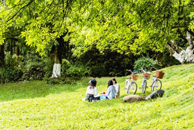 快节奏时代有机农产品受青睐，如何实现品质与销售双赢？