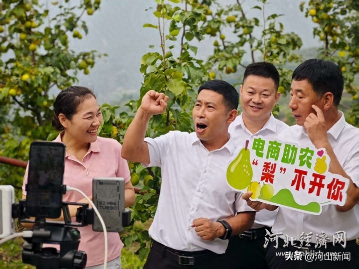 河北农村电商发展模式创新_农村电商带头人案例赛事活动全国总决赛_农产品电子商务新模式