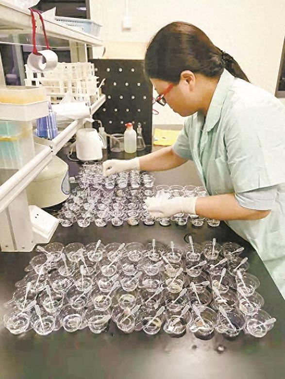 厦门市农产品质量安全追溯平台_厦门市食品安全追溯体系_农产品溯源 英译