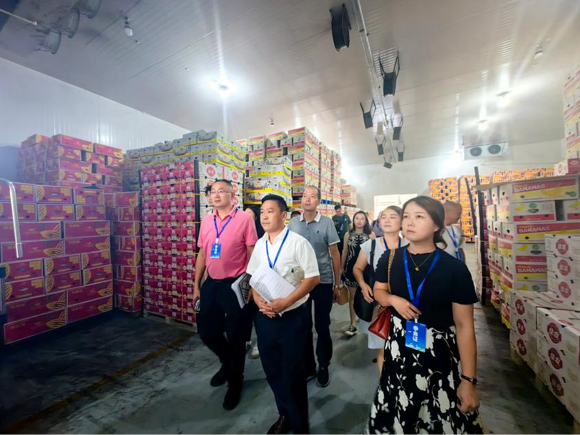 成都优质农产品对接长三角供应链_上海农产品中心批发市场 地址_成都农产品直销上海市场