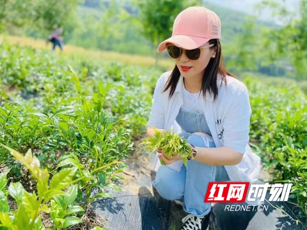 平台经济助力乡村振兴 芒果严选直播带货 惠民服务探索_农产品有什么平台可以找到代理商