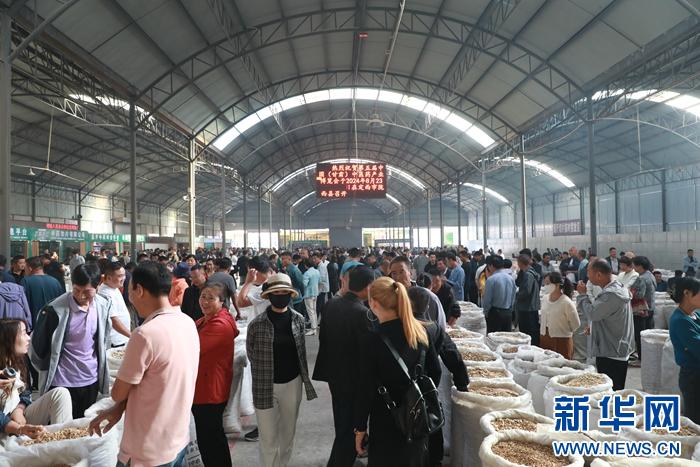 甘肃黄芪之乡发展现状_定西当归种植面积_定西市的农产品有哪些
