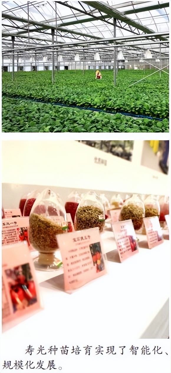 寿光智慧农业_寿光蔬菜航天育种_农产品 物流 模式