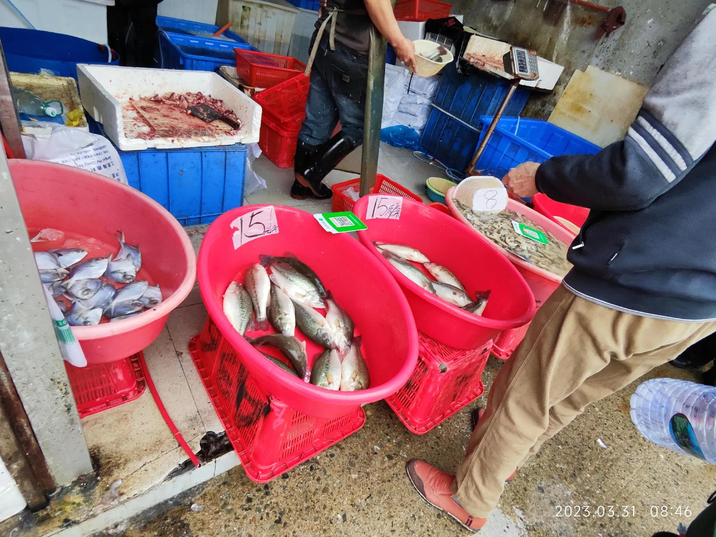 布吉菜市场攻略_深圳最大菜市场推荐_深圳布吉农产品批发市场