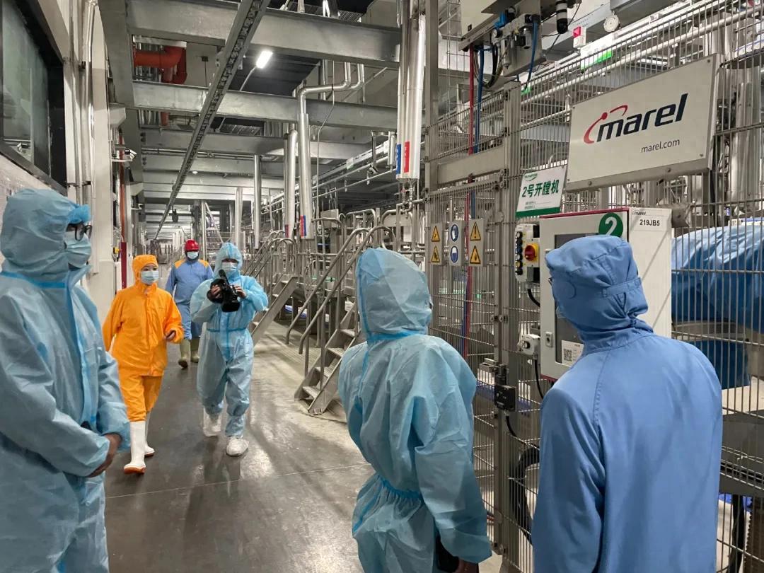 通榆县多部门联合！开展肉类产品违法犯罪专项整治行动