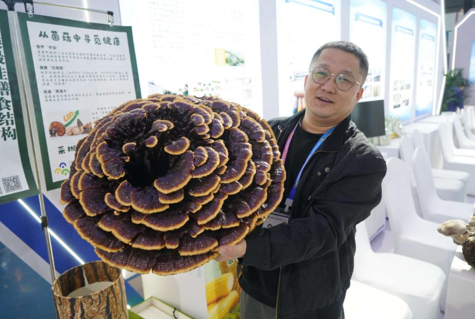 农产品线上线下展销会_农业新质生产力发展论坛_中国杨凌农业高新科技成果博览会