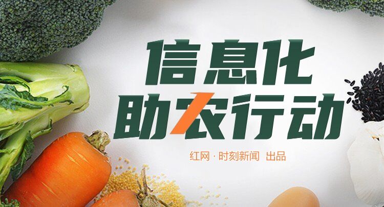 疫情下农产品滞销，红网联合多方助力农民渡难关